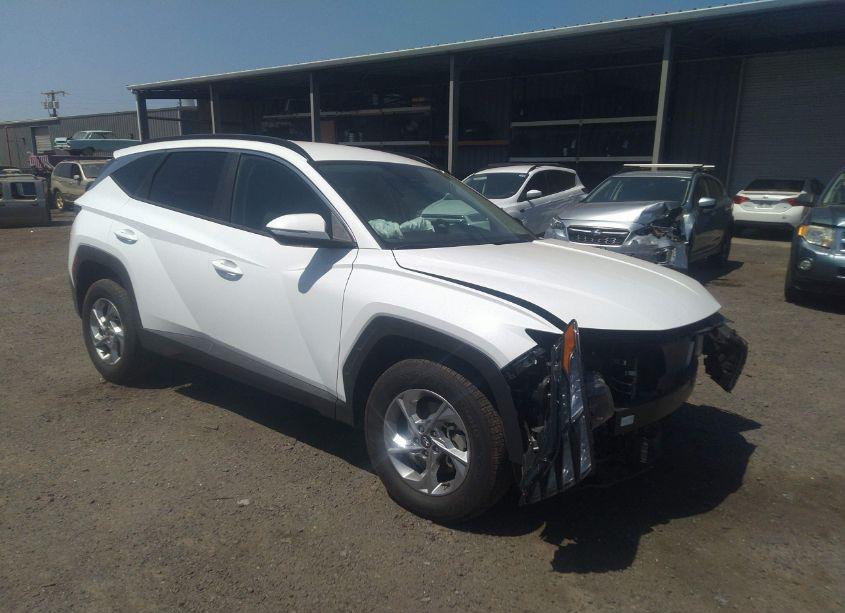 2023 Hyundai Tucson SEL (VIN 5NMJBCAE3PH182474) main photo
