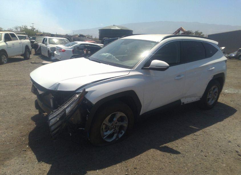 Photo 2 of 2023 Hyundai Tucson SEL (VIN 5NMJBCAE3PH182474)