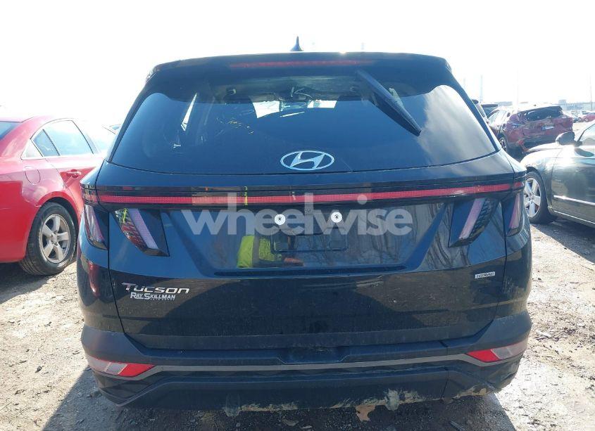 Photo 17 of 2023 Hyundai Tucson SEL (VIN 5NMJBCAE3PH203131)
