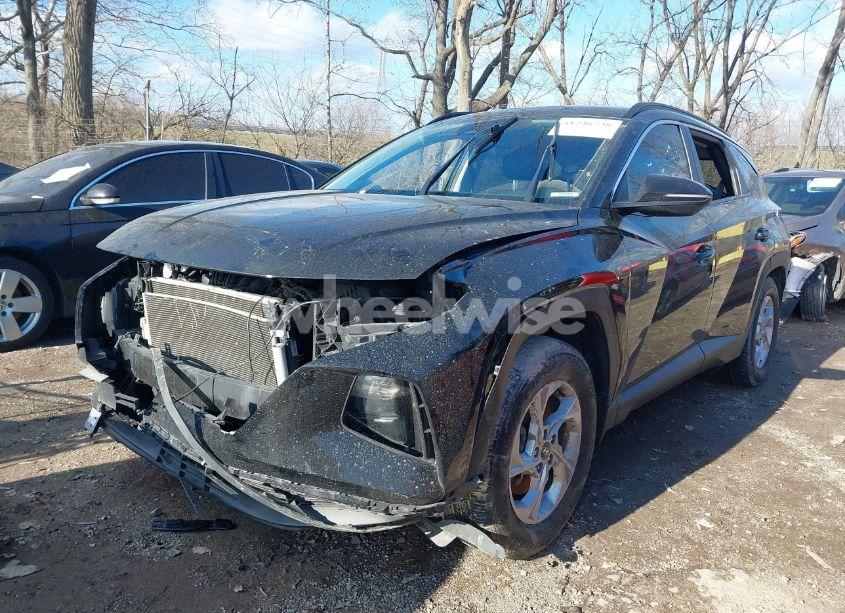 Photo 6 of 2023 Hyundai Tucson SEL (VIN 5NMJBCAE3PH203131)