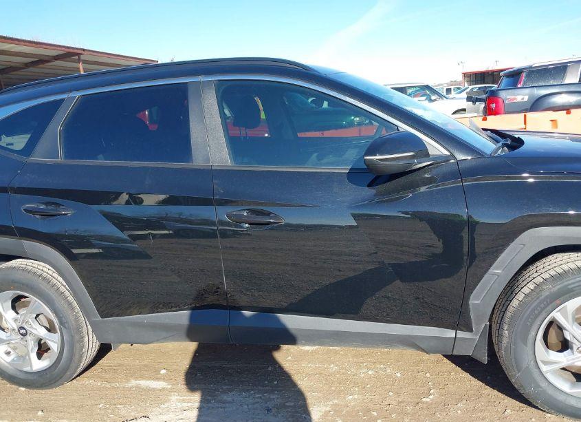 Photo 13 of 2023 Hyundai Tucson SEL (VIN 5NMJBCAE3PH228000)