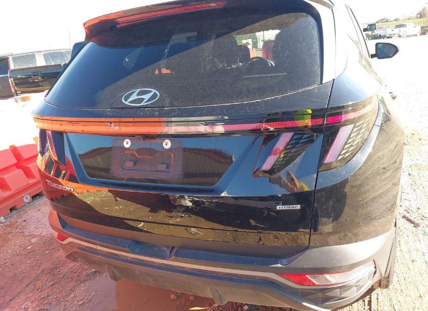 Photo 16 of 2023 Hyundai Tucson SEL (VIN 5NMJBCAE3PH228000)