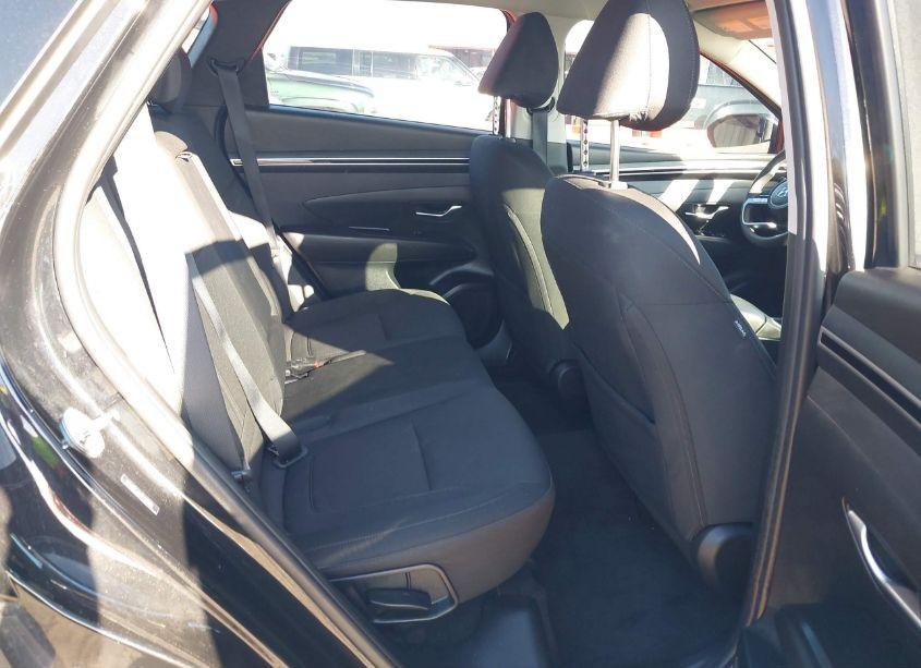 Photo 8 of 2023 Hyundai Tucson SEL (VIN 5NMJBCAE3PH228000)