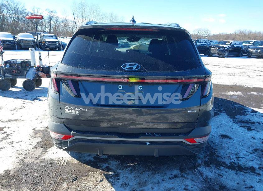 Photo 16 of 2023 Hyundai Tucson SEL (VIN 5NMJBCAE3PH253348)