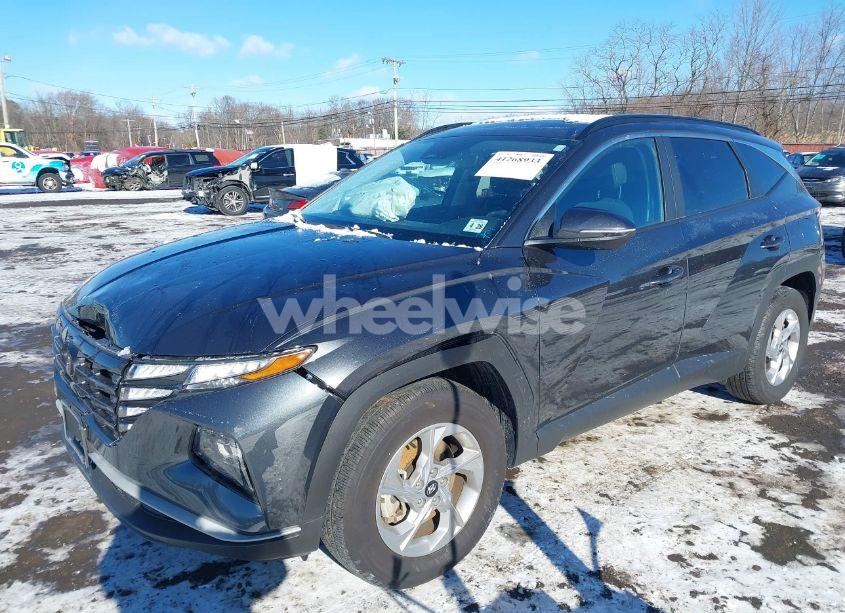 Photo 19 of 2023 Hyundai Tucson SEL (VIN 5NMJBCAE3PH253348)