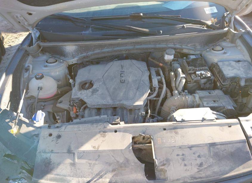 Photo 10 of 2023 Hyundai Tucson SEL (VIN 5NMJBCAE4PH218303)