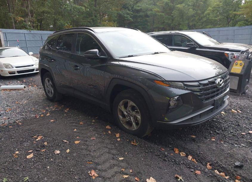 2023 Hyundai Tucson SEL (VIN 5NMJBCAE4PH233657) main photo