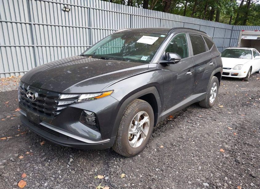 Photo 2 of 2023 Hyundai Tucson SEL (VIN 5NMJBCAE4PH233657)