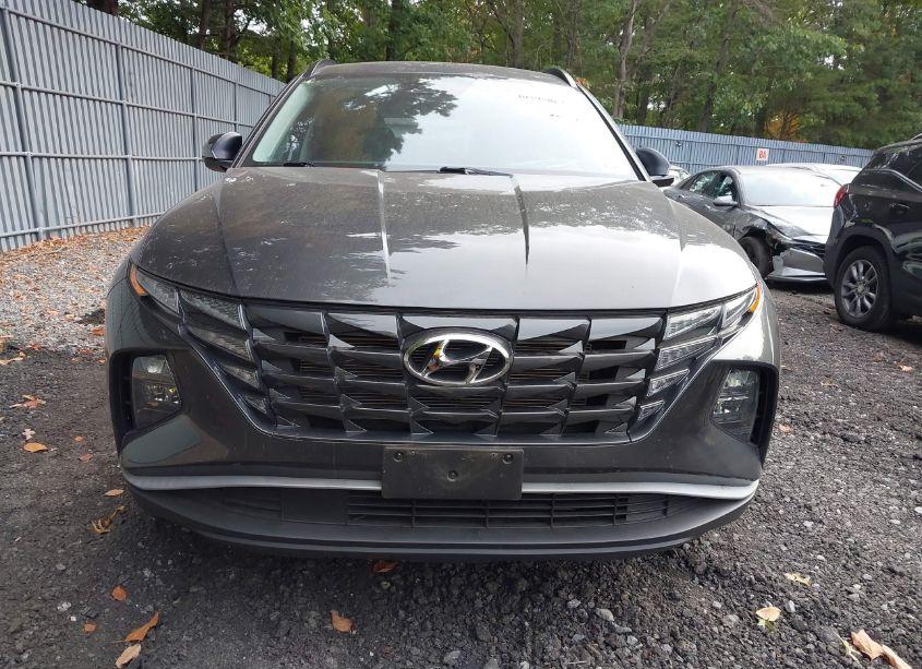 Photo 6 of 2023 Hyundai Tucson SEL (VIN 5NMJBCAE4PH233657)