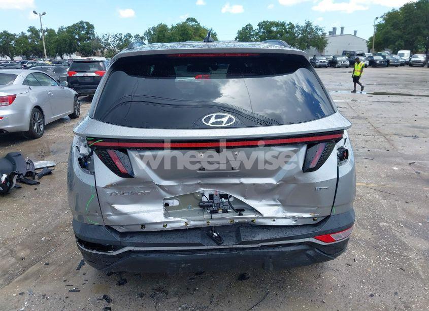 Photo 17 of 2023 Hyundai Tucson SEL (VIN 5NMJBCAE4PH282180)