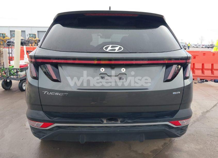 Photo 16 of 2023 Hyundai Tucson SEL (VIN 5NMJBCAE5PH173078)