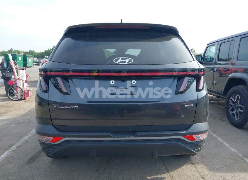 Photo 17 of 2023 Hyundai Tucson SEL (VIN 5NMJBCAE5PH180953)