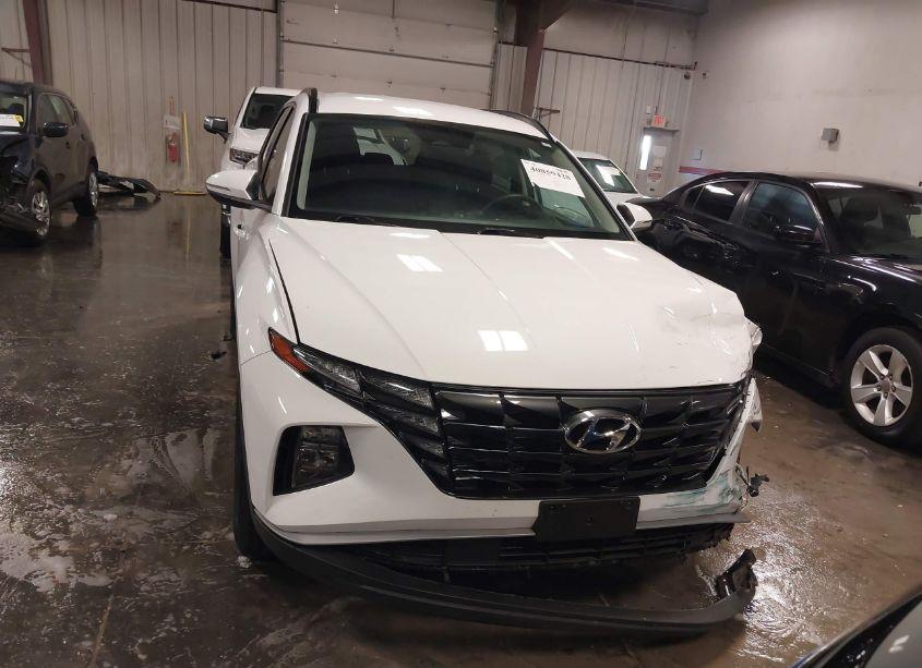 Photo 12 of 2023 Hyundai Tucson SEL (VIN 5NMJBCAE5PH208010)