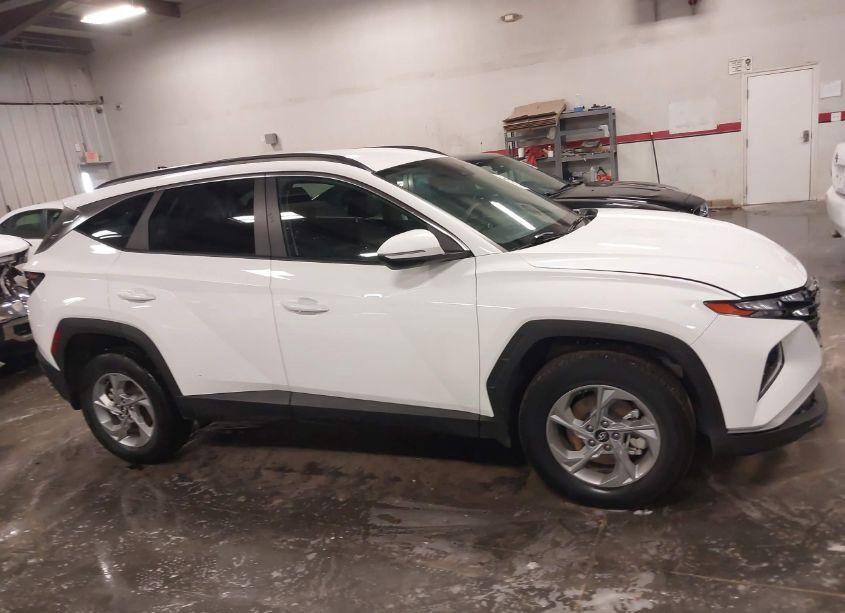 Photo 13 of 2023 Hyundai Tucson SEL (VIN 5NMJBCAE5PH208010)