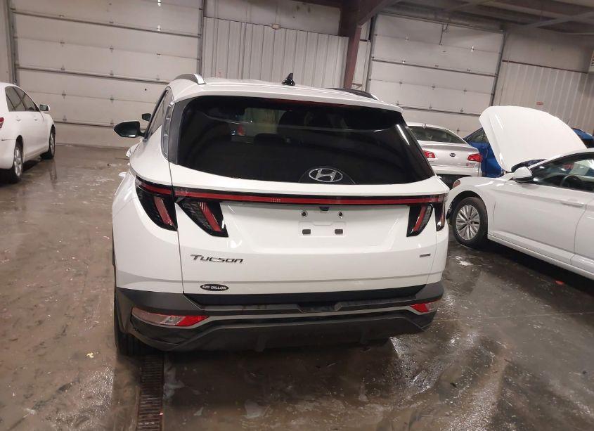 Photo 16 of 2023 Hyundai Tucson SEL (VIN 5NMJBCAE5PH208010)