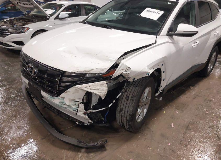 Photo 6 of 2023 Hyundai Tucson SEL (VIN 5NMJBCAE5PH208010)