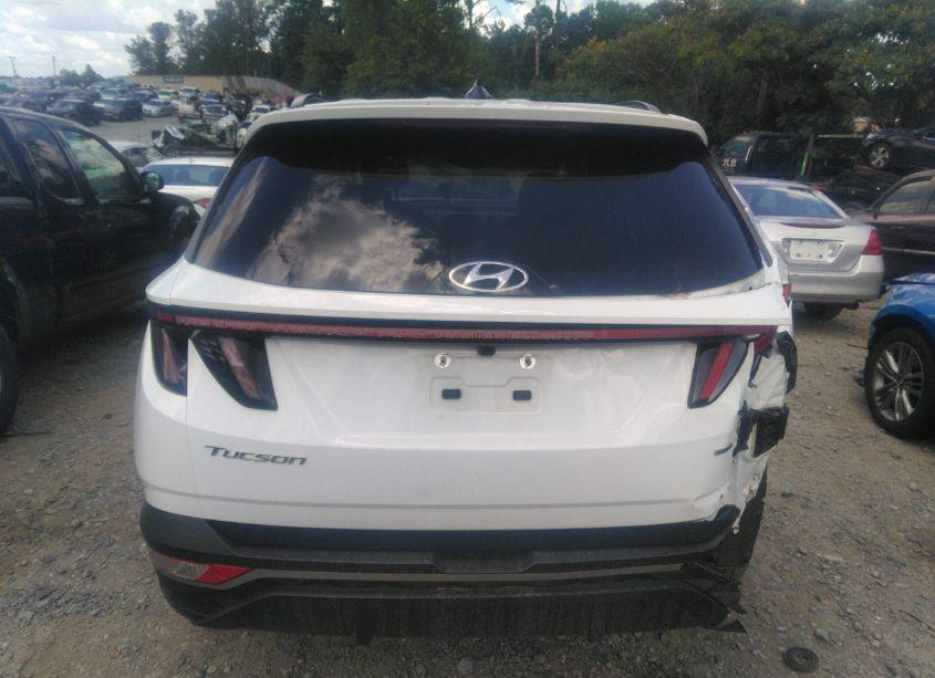Photo 16 of 2023 Hyundai Tucson SEL (VIN 5NMJBCAE5PH216916)