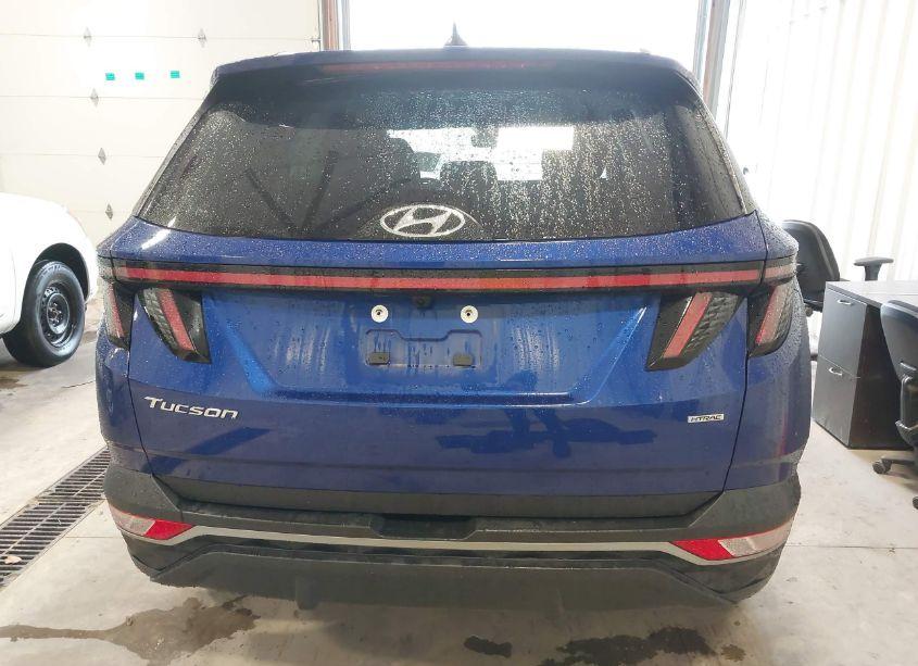 Photo 16 of 2023 Hyundai Tucson SEL (VIN 5NMJBCAE5PH257045)