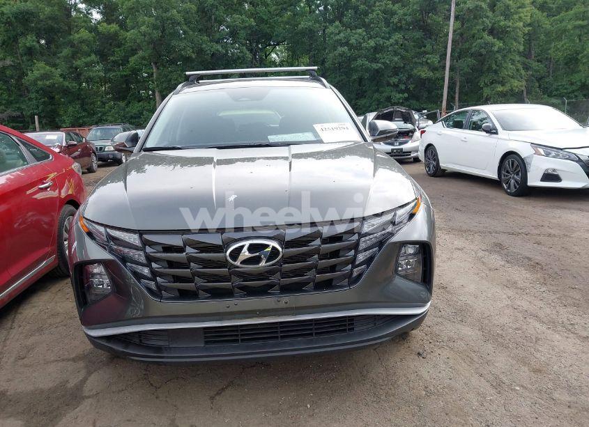 Photo 12 of 2023 Hyundai Tucson SEL (VIN 5NMJBCAE5PH263198)