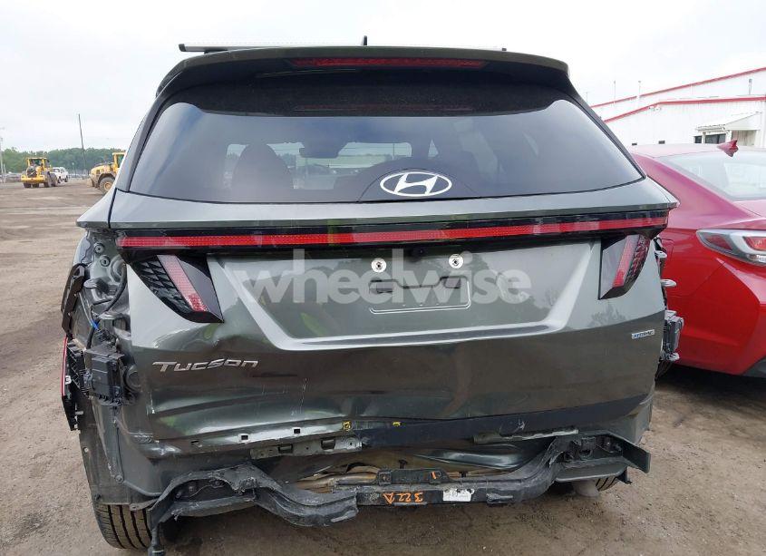 Photo 16 of 2023 Hyundai Tucson SEL (VIN 5NMJBCAE5PH263198)