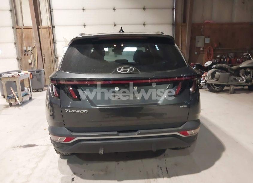Photo 16 of 2022 Hyundai Tucson SEL (VIN 5NMJBCAE6NH070300)