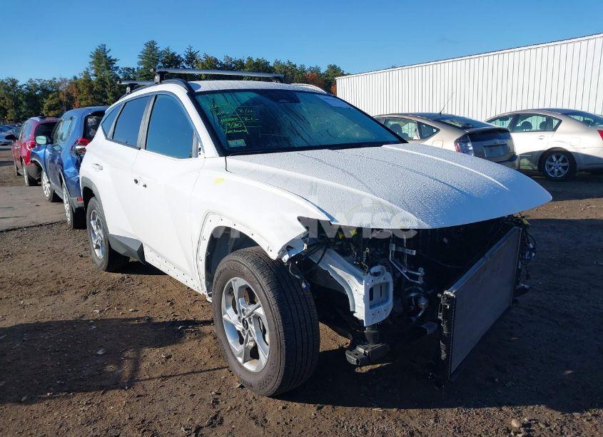 2023 Hyundai Tucson SEL (VIN 5NMJBCAE6PH194442) main photo