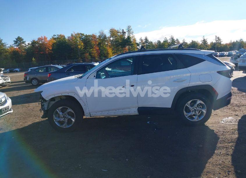 Photo 14 of 2023 Hyundai Tucson SEL (VIN 5NMJBCAE6PH194442)