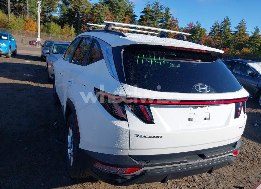 Photo 16 of 2023 Hyundai Tucson SEL (VIN 5NMJBCAE6PH194442)