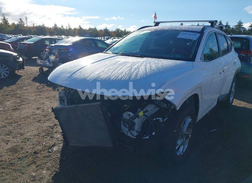Photo 6 of 2023 Hyundai Tucson SEL (VIN 5NMJBCAE6PH194442)