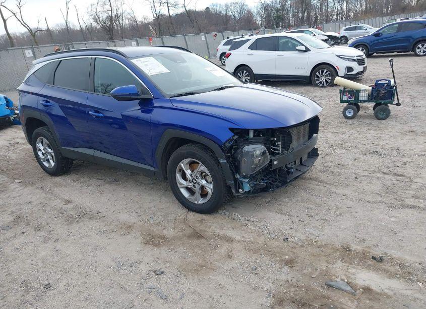 2023 Hyundai Tucson SEL (VIN 5NMJBCAE6PH196482) main photo