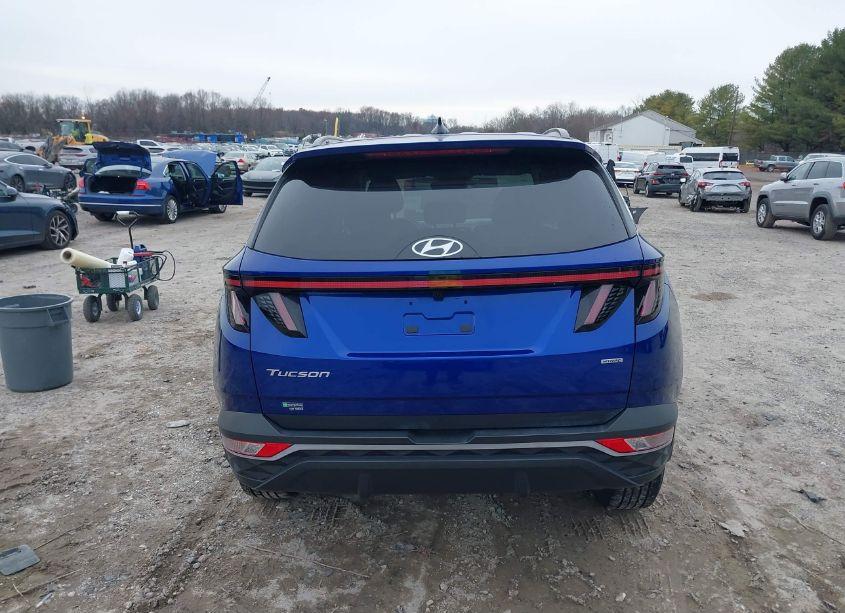 Photo 16 of 2023 Hyundai Tucson SEL (VIN 5NMJBCAE6PH196482)