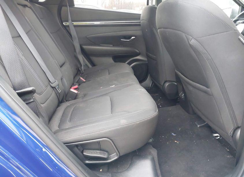 Photo 8 of 2023 Hyundai Tucson SEL (VIN 5NMJBCAE6PH196482)