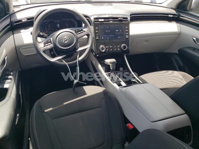 Photo 12 of 2023 HYUNDAI TUCSON SEL (VIN 5NMJBCAE6PH210235)