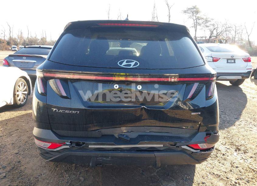 Photo 16 of 2022 Hyundai Tucson SEL (VIN 5NMJBCAE7NH094704)