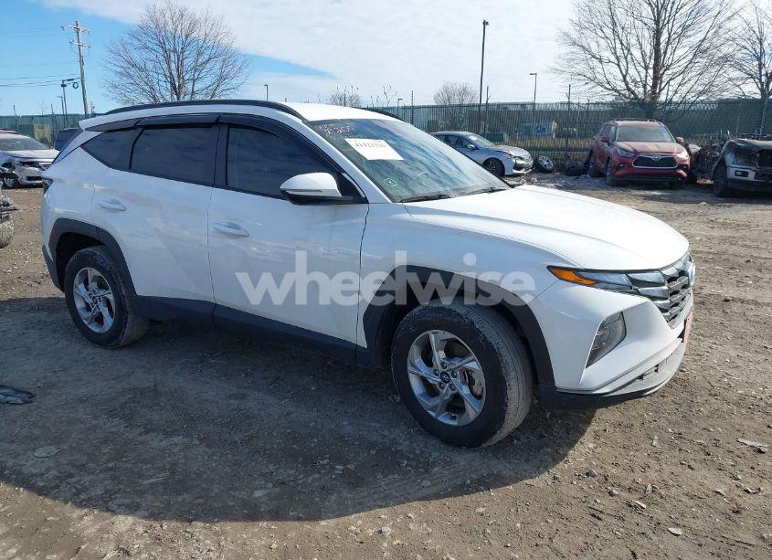 2023 Hyundai Tucson SEL (VIN 5NMJBCAE7PH250470) main photo