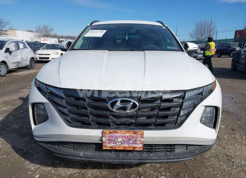 Photo 12 of 2023 Hyundai Tucson SEL (VIN 5NMJBCAE7PH250470)