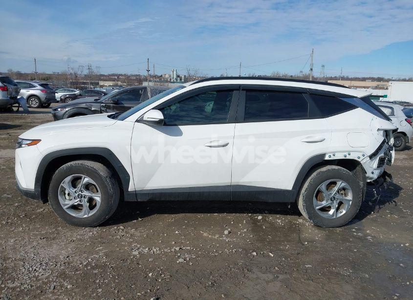 Photo 14 of 2023 Hyundai Tucson SEL (VIN 5NMJBCAE7PH250470)