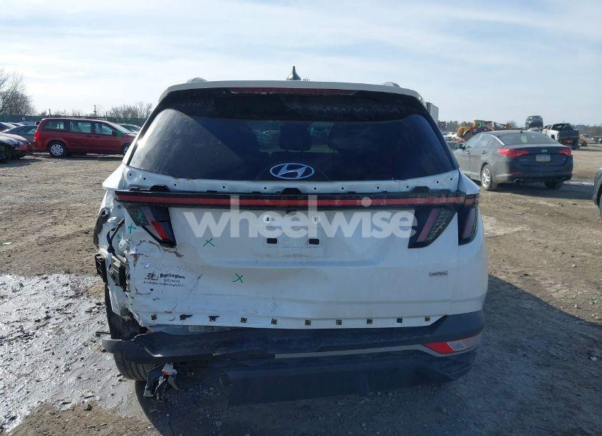 Photo 16 of 2023 Hyundai Tucson SEL (VIN 5NMJBCAE7PH250470)