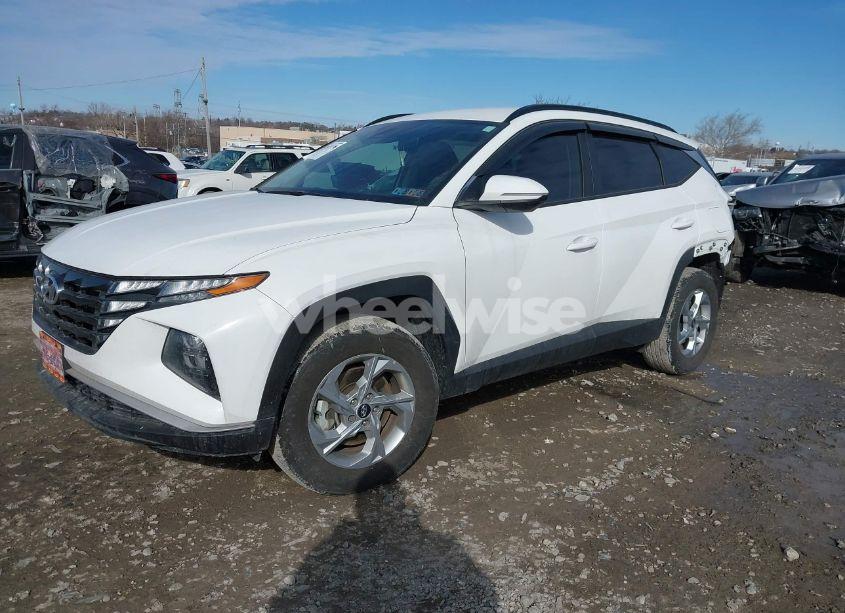 Photo 2 of 2023 Hyundai Tucson SEL (VIN 5NMJBCAE7PH250470)