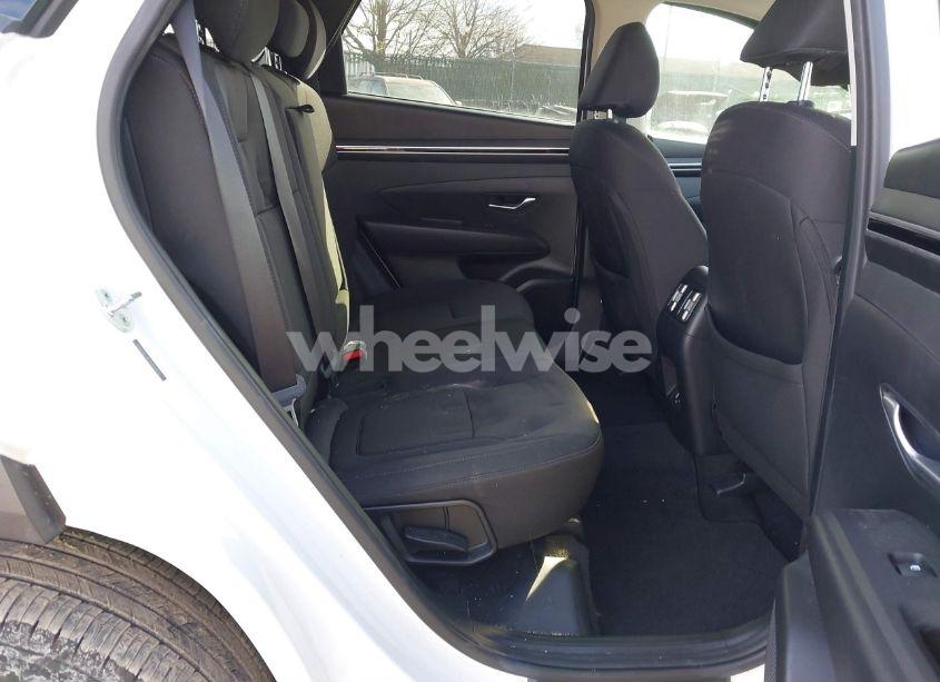 Photo 8 of 2023 Hyundai Tucson SEL (VIN 5NMJBCAE7PH250470)