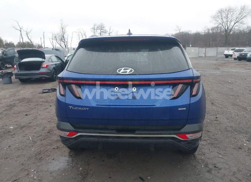 Photo 16 of 2022 Hyundai Tucson SEL (VIN 5NMJBCAE8NH000555)