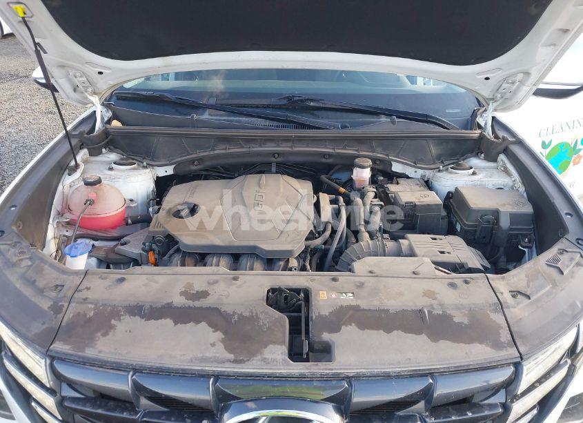 Photo 10 of 2022 Hyundai Tucson SEL (VIN 5NMJBCAE8NH057886)
