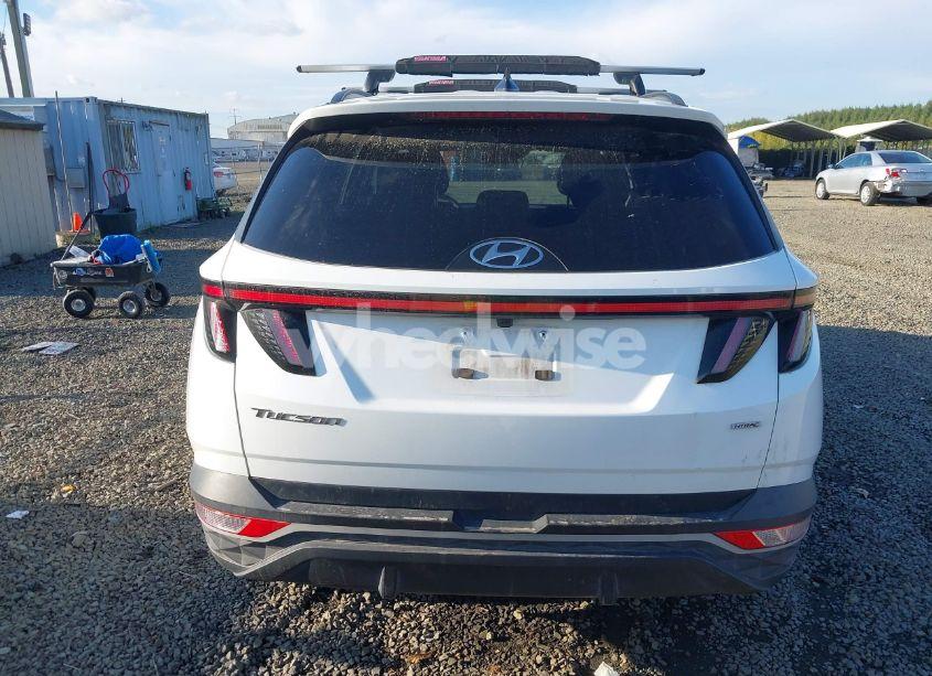 Photo 16 of 2022 Hyundai Tucson SEL (VIN 5NMJBCAE8NH057886)