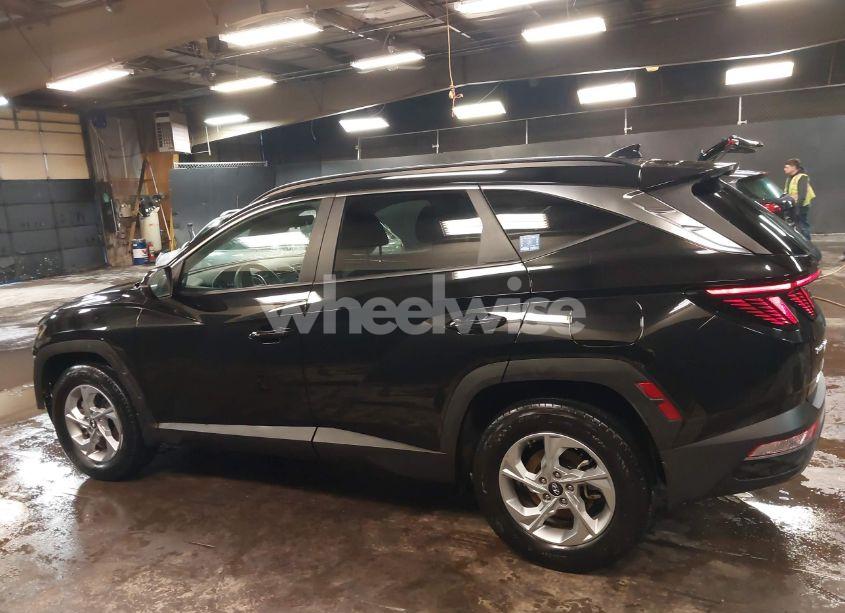 Photo 15 of 2023 Hyundai Tucson SEL (VIN 5NMJBCAE8PH193034)
