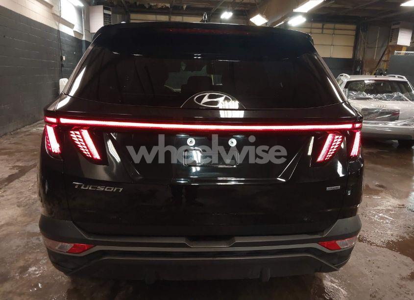 Photo 17 of 2023 Hyundai Tucson SEL (VIN 5NMJBCAE8PH193034)