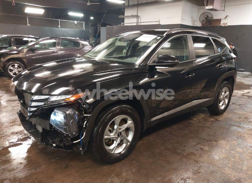 Photo 2 of 2023 Hyundai Tucson SEL (VIN 5NMJBCAE8PH193034)