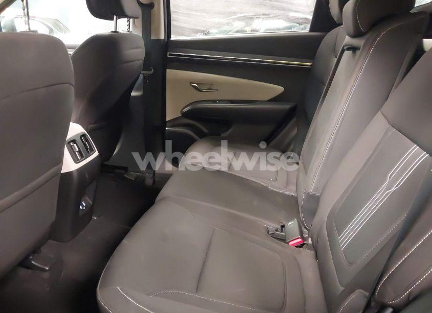 Photo 8 of 2023 Hyundai Tucson SEL (VIN 5NMJBCAE8PH193034)