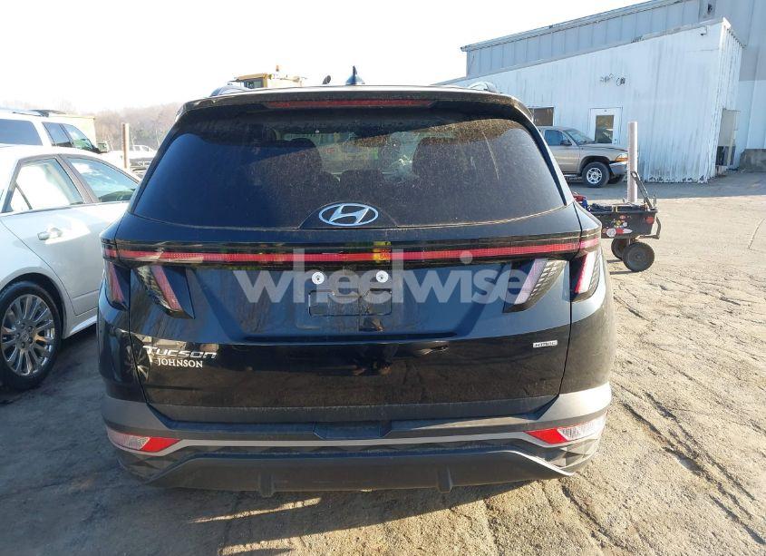 Photo 16 of 2023 Hyundai Tucson SEL (VIN 5NMJBCAE8PH198251)