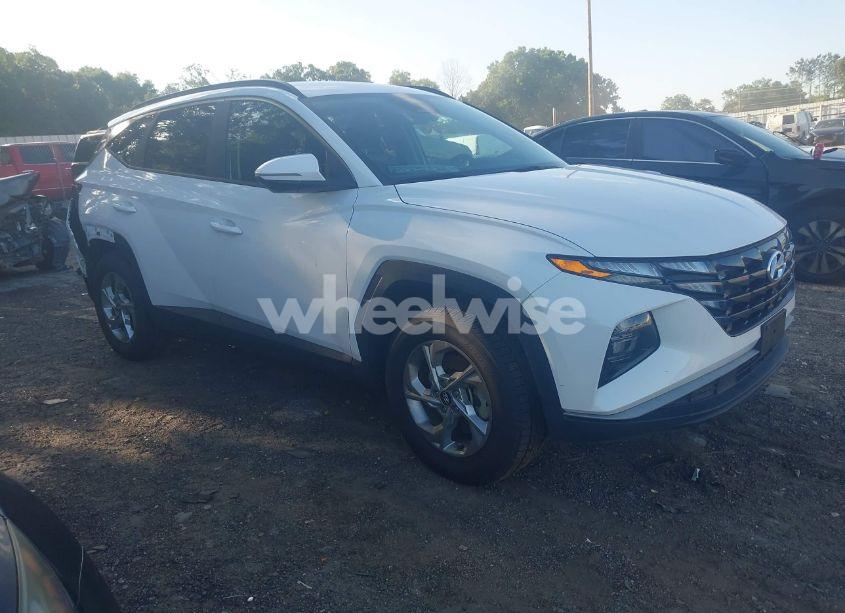 2023 Hyundai Tucson SEL (VIN 5NMJBCAE8PH262255) main photo