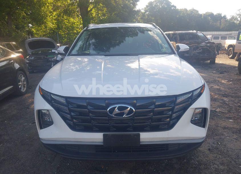 Photo 12 of 2023 Hyundai Tucson SEL (VIN 5NMJBCAE8PH262255)